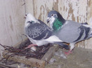 BILD0647