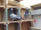 BILD0656