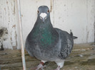 DSCN0022