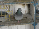 DSCN0033