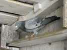 DSCN0034