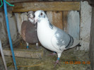 DSCN0110