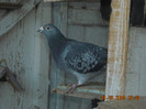 DSCN0120