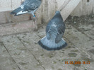DSCN0125
