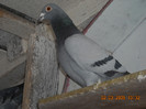 DSCN0148