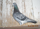 DSCN0178