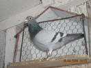 DSCN0181