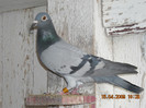 DSCN0184