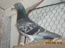 DSCN0187