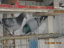 DSCN0188