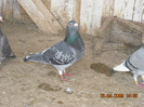 DSCN0189