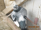 DSCN0200