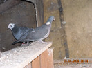 DSCN0204