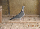 DSCN0205