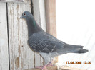 DSCN0213
