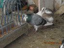 DSCN0298