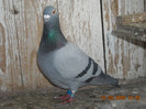 DSCN0340