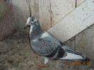 DSCN0348