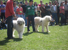 expopastoralis