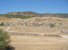 IMGP1602