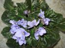 DSC00283