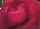 Fotografie0741