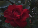 Fotografie0756