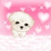 y love you