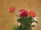 Picture 002