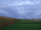 DSCF8961