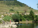 DSCF8834