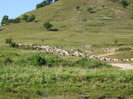 DSCF8840