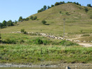 DSCF8841