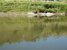 DSCF8842