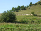 DSCF8843
