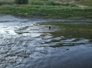 DSCF8844