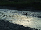 DSCF8847