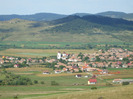 DSCF8916