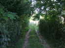 DSCF8917