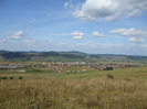 DSCF8919