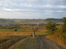 DSCF8947