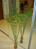 DSC04815