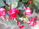 DSCN2008