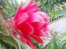DSCN2012