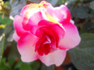 DSCN2023