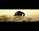 44662849_AZARBARED