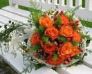 orange-roses