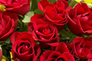 red-roses-bouquet-dsc01457.45121006