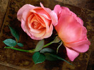 Red-Roses-roses-13004508-1024-768
