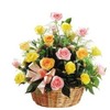 trandafiri-diversi-mixed-roses-8616-1